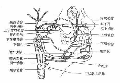 ǻ沿