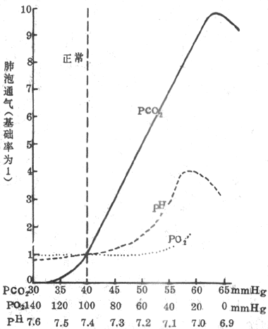 ѪҺPCO2ߡPCO2͡pHͶԷͨʵӰ