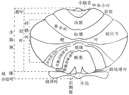 鳤දСԷҶƽչʾͼ